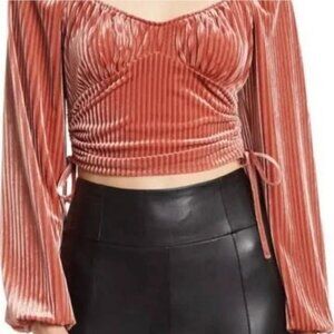 Sophie Rue Pink Side Ruched Velvet Long Sleeve Top Size M Cropped